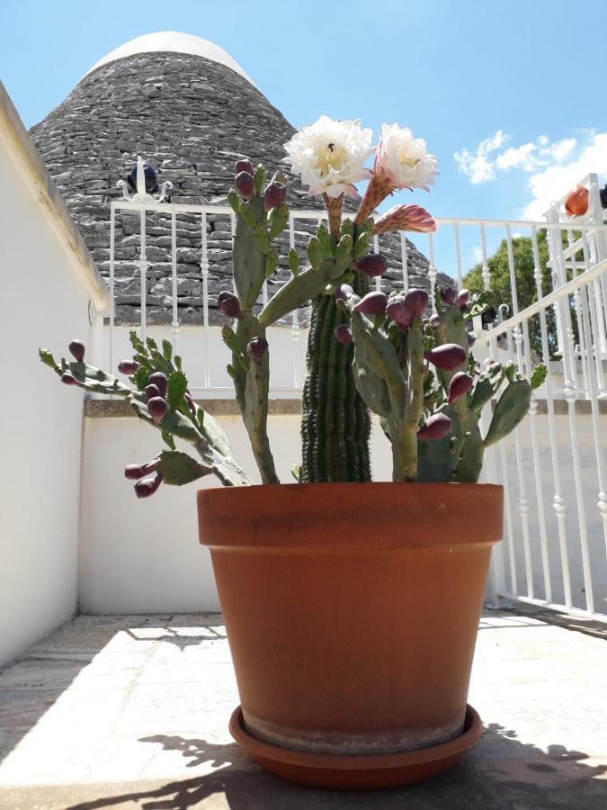 B&B Masseria Nuove Caselle Villa Castelli Экстерьер фото