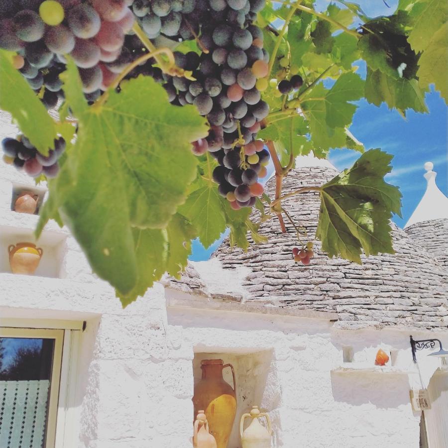 B&B Masseria Nuove Caselle Villa Castelli Экстерьер фото