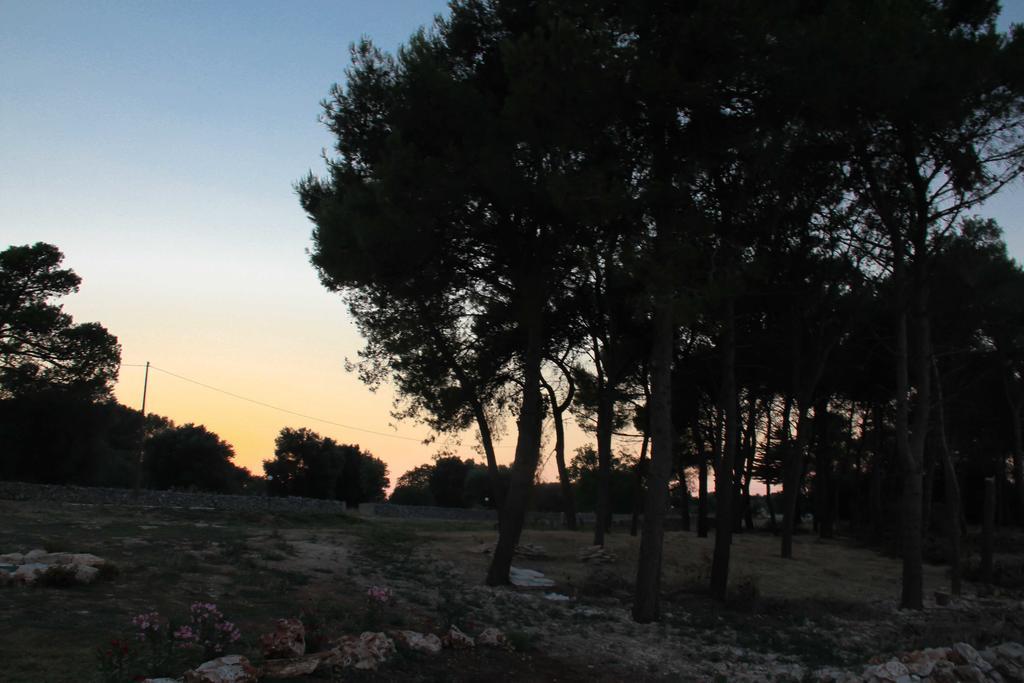 B&B Masseria Nuove Caselle Villa Castelli Экстерьер фото